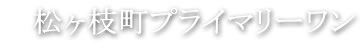 デザイナーズマンション 松ヶ枝町プライマリーワン